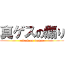 真ゲスの煽り (attack on vector)