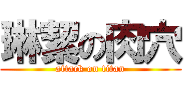 琳絜の肉穴 (attack on titan)