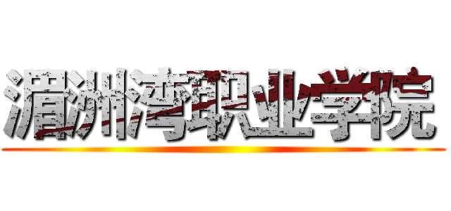 湄洲湾职业学院  ()