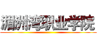 湄洲湾职业学院  ()