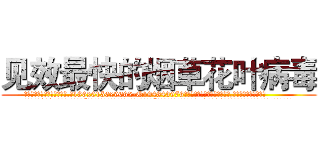 见效最快的烟草花叶病毒 (见效最快的烟草花叶病毒【电.话186x0156x9662-Q194843976林氏药业】我们做的是长期生意,靠的是老客户长期支持
参考消息网2月20日报道 韩媒称，“剩女多、离婚率高的城市，房价一定会上涨。”这是中国经济学家金岩石2016年12月参加在上海举行的房地产相关论坛时说的话。
)