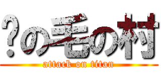 腳の毛の村 (attack on titan)