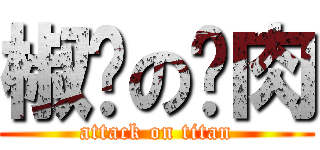 椒盐の烤肉 (attack on titan)