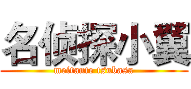 名侦探小翼 (meitante tsubasa)