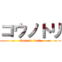 コウノトリ (kou no tori)