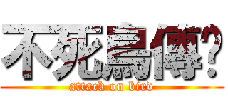 不死鳥傳說 (attack on bird)