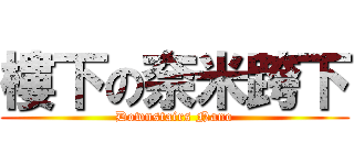 樓下の奈米跨下 (Downstairs Nano)