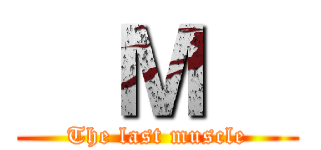   Ｍ   (The last muscle)