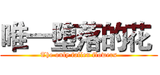 唯一堕落的花  (The only fallen flowers)
