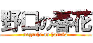 野口の春花 (noguchi on haruka)