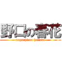 野口の春花 (noguchi on haruka)