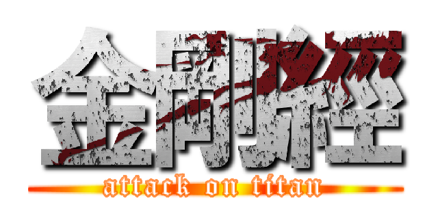 金剛經 (attack on titan)