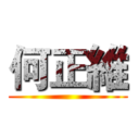 何正維 ()