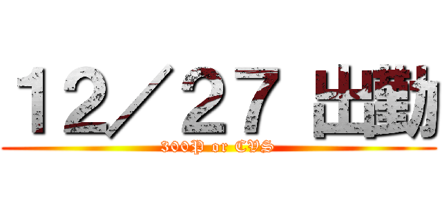 １２／２７ 出勤 (300P or CVS)