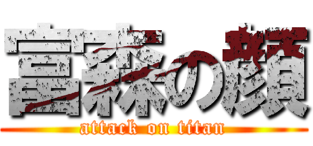 富森の顔 (attack on titan)