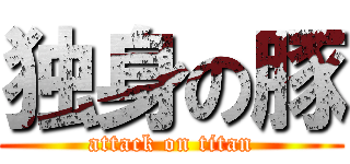 独身の豚 (attack on titan)