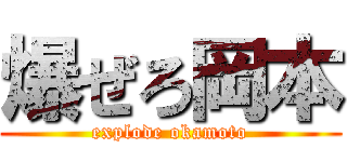 爆ぜろ岡本 (explode okamoto)