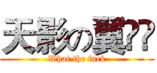 天影の翼ഈ (What the fuck)