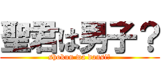 聖君は男子？ (shokun wa dansi?)