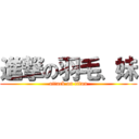 進撃の羽毛、妹 (attack on titan)