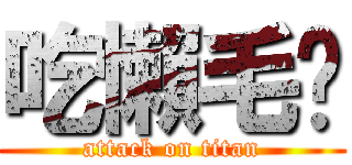 吃懶毛啦 (attack on titan)