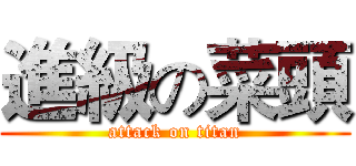 進級の菜頭 (attack on titan)