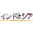 インドネシア (国際貢献)