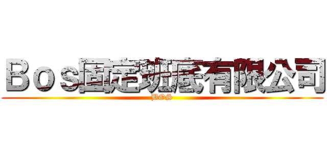Ｂｏｓ固定班底有限公司 (BOS)