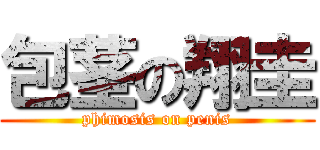 包茎の翔圭 (phimosis on penis)