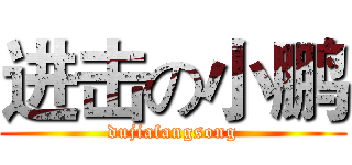 进击の小鹏 (dujiafangsong)