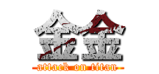 金金 (attack on titan)
