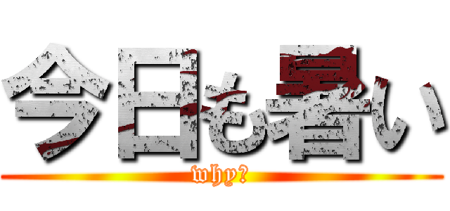 今日も暑い (why?)
