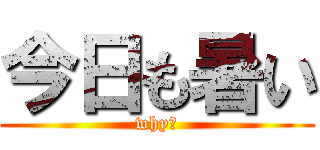 今日も暑い (why?)