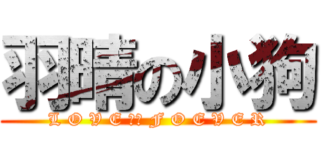 羽晴の小狗 (L O V E 羽晴 F O E V E R)