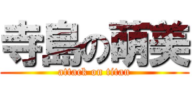 寺島の萌美 (attack on titan)