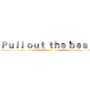 Ｐｕｌｌ ｏｕｔ ｔｈｅ ｂｅａｒｄ ()