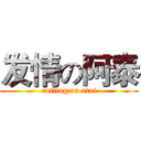 发情の阿泰 (rutting on atai)