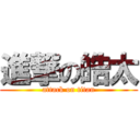 進撃の皓太 (attack on titan)