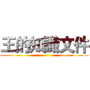 王的知識文件 ()