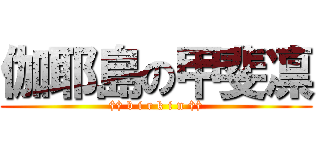 伽耶島の甲斐凛 (†† b i r k i n ††)