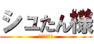 シュたん様 (肉シュたん棒)