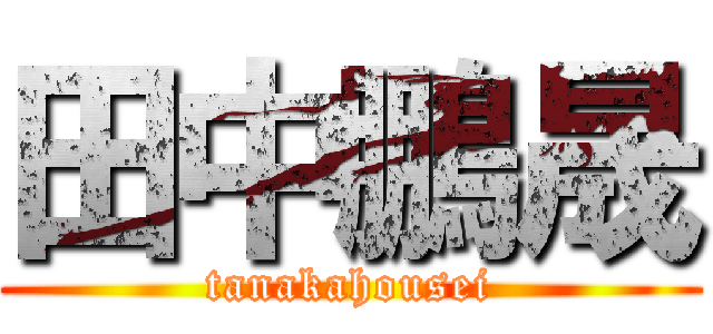 田中鵬晟 (tanakahousei)