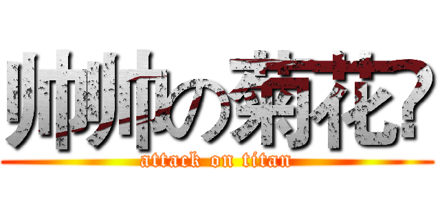 帅帅の菊花❀ (attack on titan)