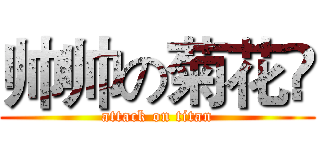 帅帅の菊花❀ (attack on titan)