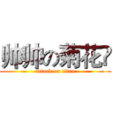 帅帅の菊花❀ (attack on titan)