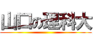 山口の理科大 ()