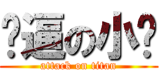 贰逼の小贝 (attack on titan)