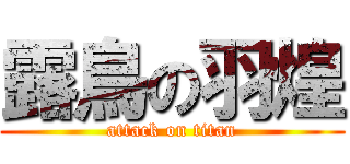 露鳥の羽煌 (attack on titan)