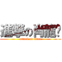 進撃の肖龍跃 (attack on titan)