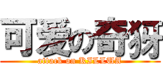 可爱の奇犽 (attack on KILLUA)